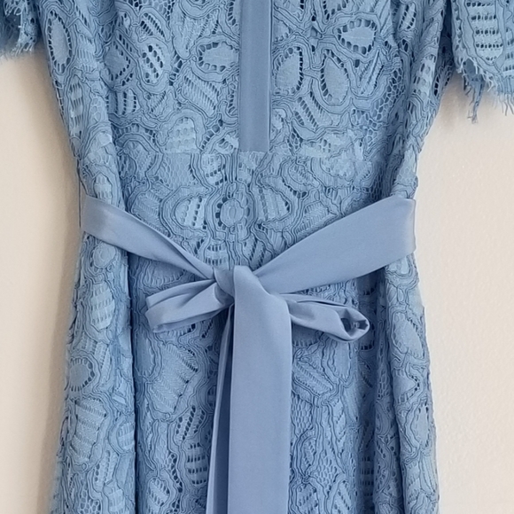 Lela Rose Lace Flutter Sleeve Collared Dress - Picture 15 of 15